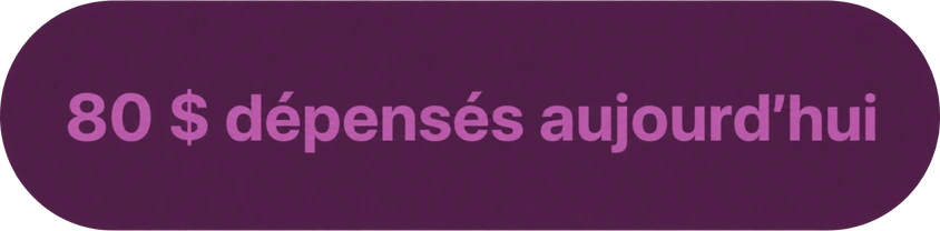 Notification de synthèse des dépenses quotidiennes