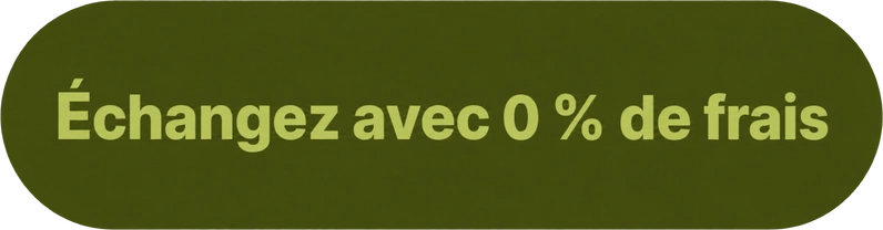 Illustration d’un échange de devises sans frais